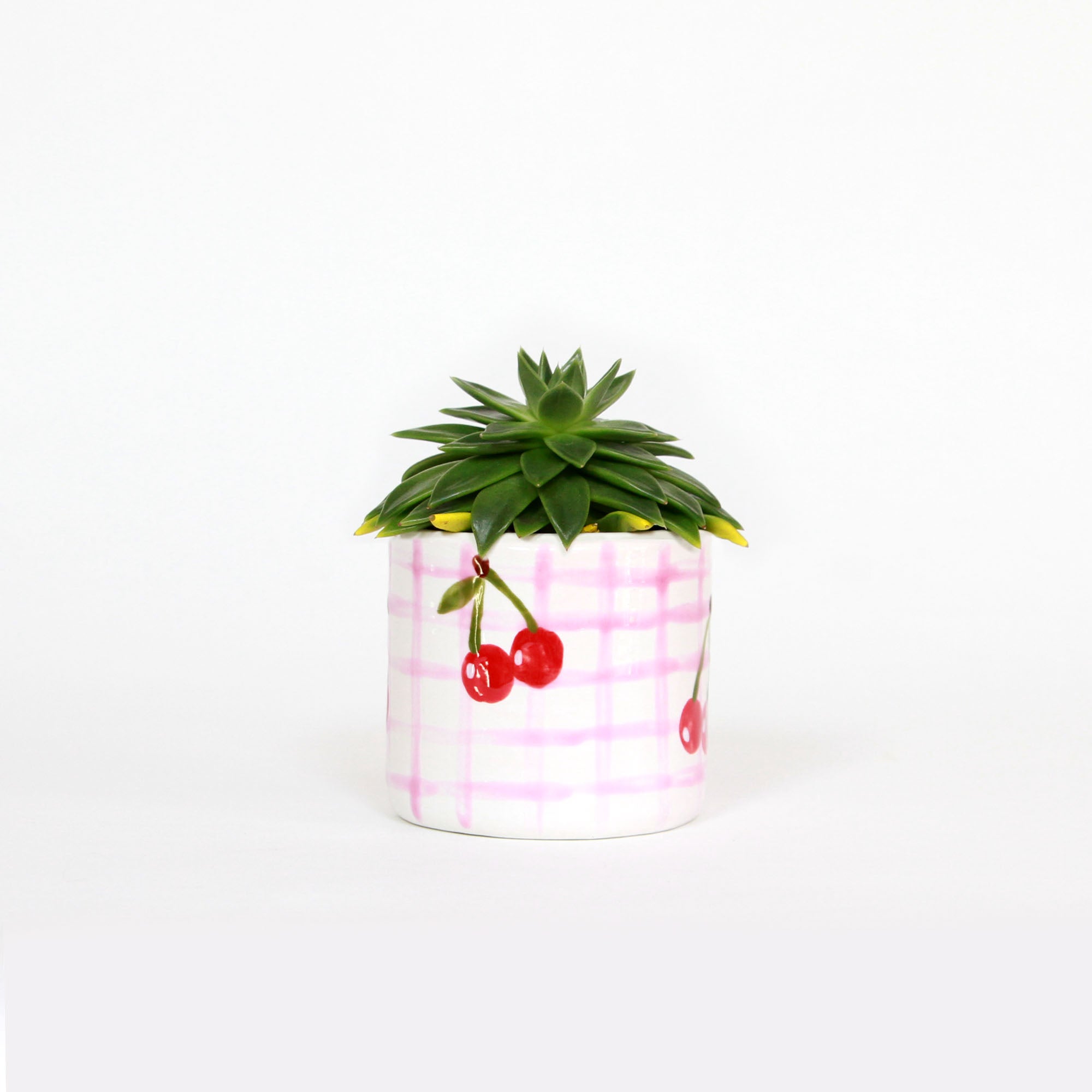 LE POT - VICHY CHERRY